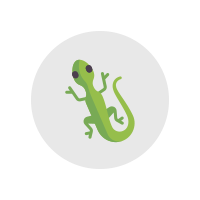 Lizard reptile pet