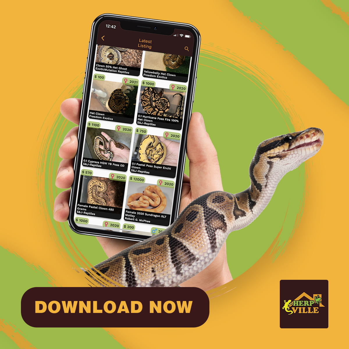 Herpville app showcasing reptile listing