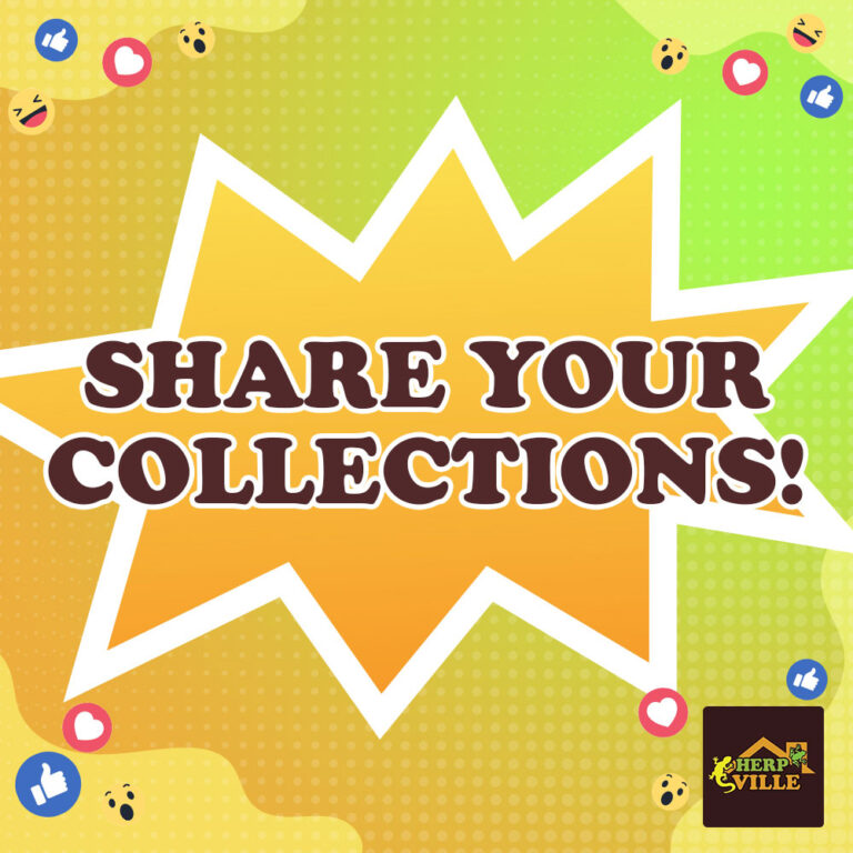 share-your-collections