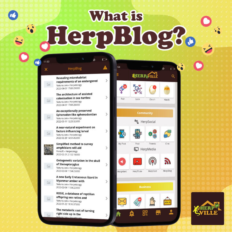 what-is-herpblog